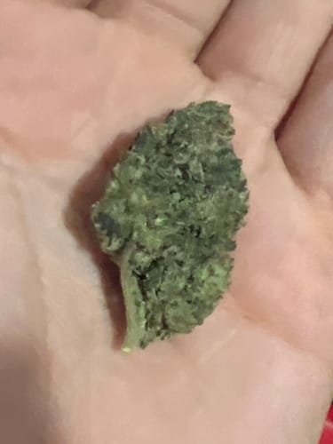 Customer photo review of Greenhouse THCa Flower