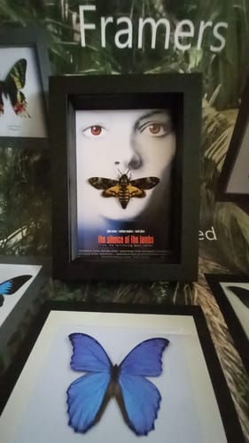 Customer photo review of The Silence Of The Lambs 1991 Movie Poster