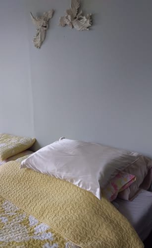 Customer photo review of Champagne Silk Pillowcase - Queen Size - Zip Closure