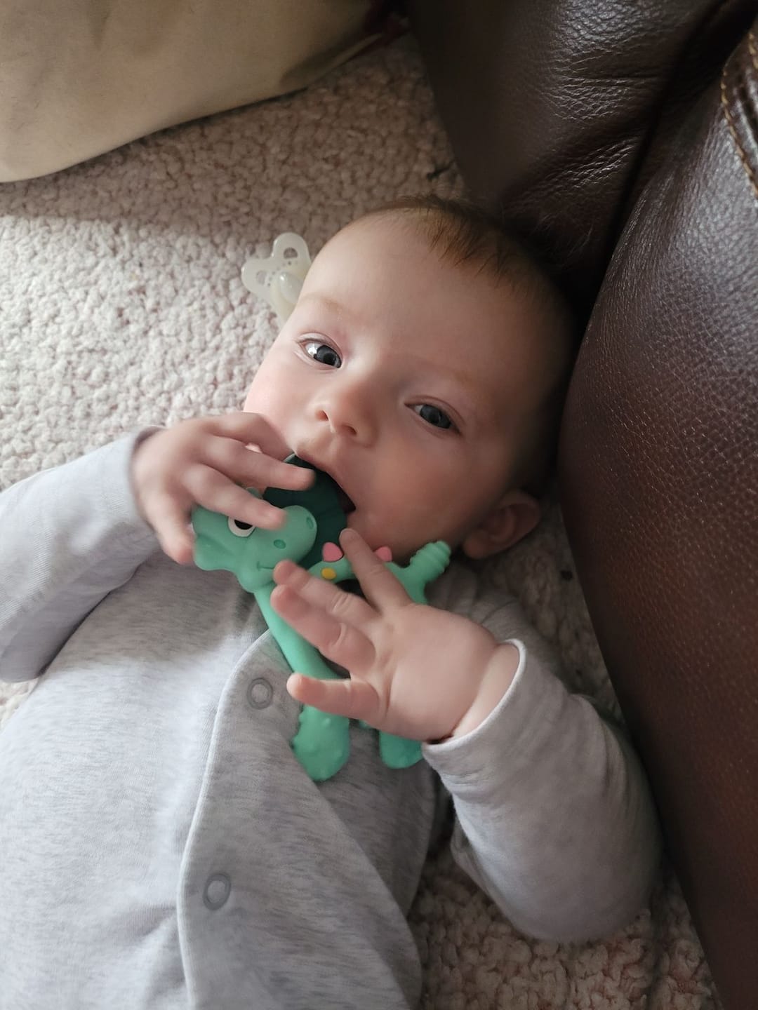 Customer photo review of Teething Toy: Dotty the Dinosaur™