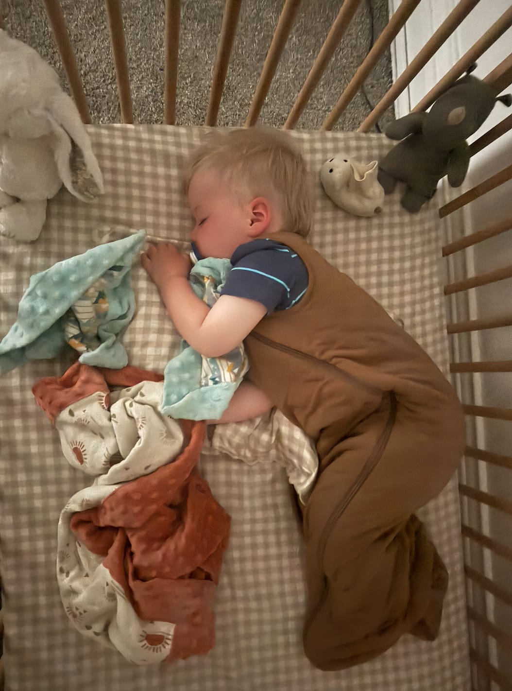 Customer photo review of Toddler Pillow Down Insert