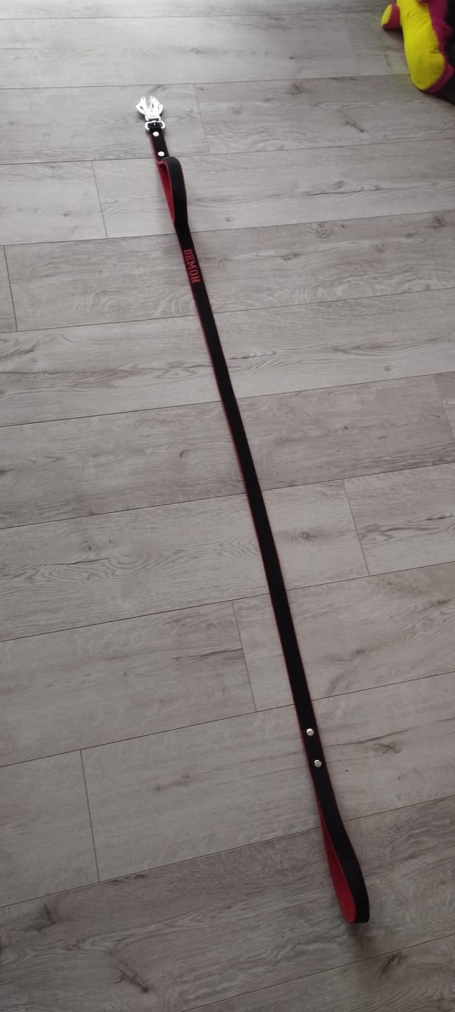 Customer photo review of Smycz dla psa z imieniem - Personal Leash