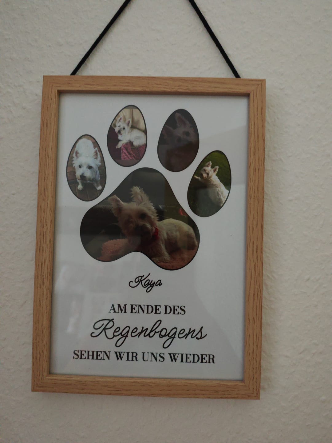 Customer photo review of Regenbogenbrücke - Individuelles Poster