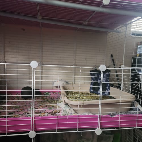 Customer photo review of C&C Cage Extension