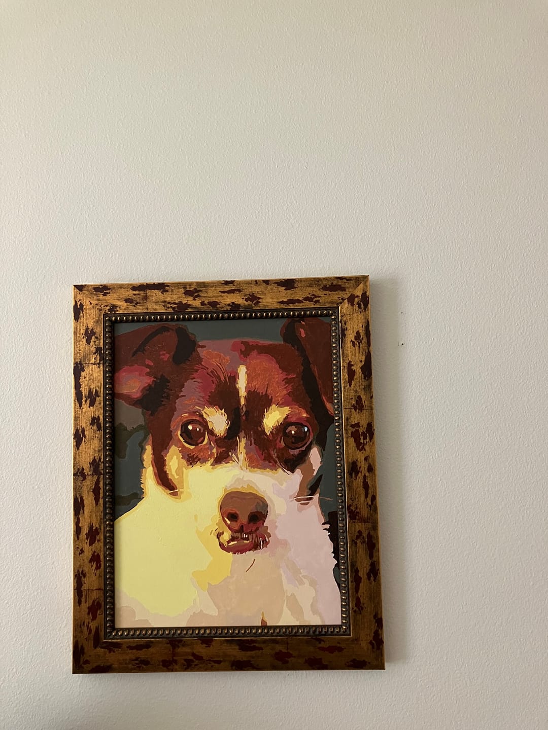 Customer photo review of Pawtrait - Paint Your Pet - Custom Paint by Numbers Kit