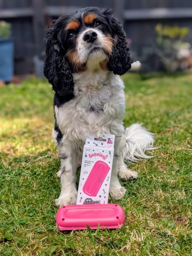 Customer photo review of Deshedding Brush (Pink)