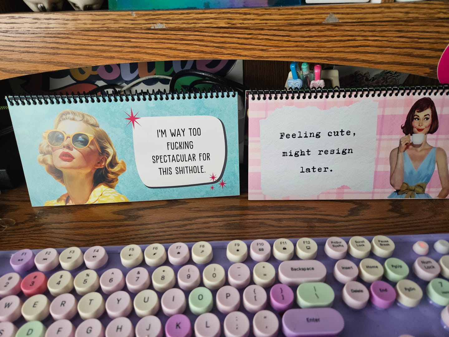 Customer photo review of Sassy & Sweary Women at the Office Desk Flip Sign