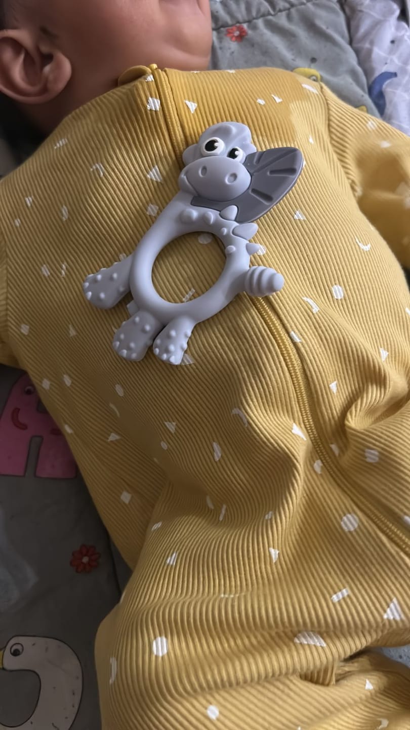 Customer photo review of Dotty the Dinosaur™: Teething Toy