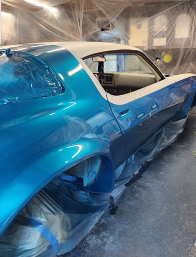 Customer photo review of Lime Zest Paint Basecoat