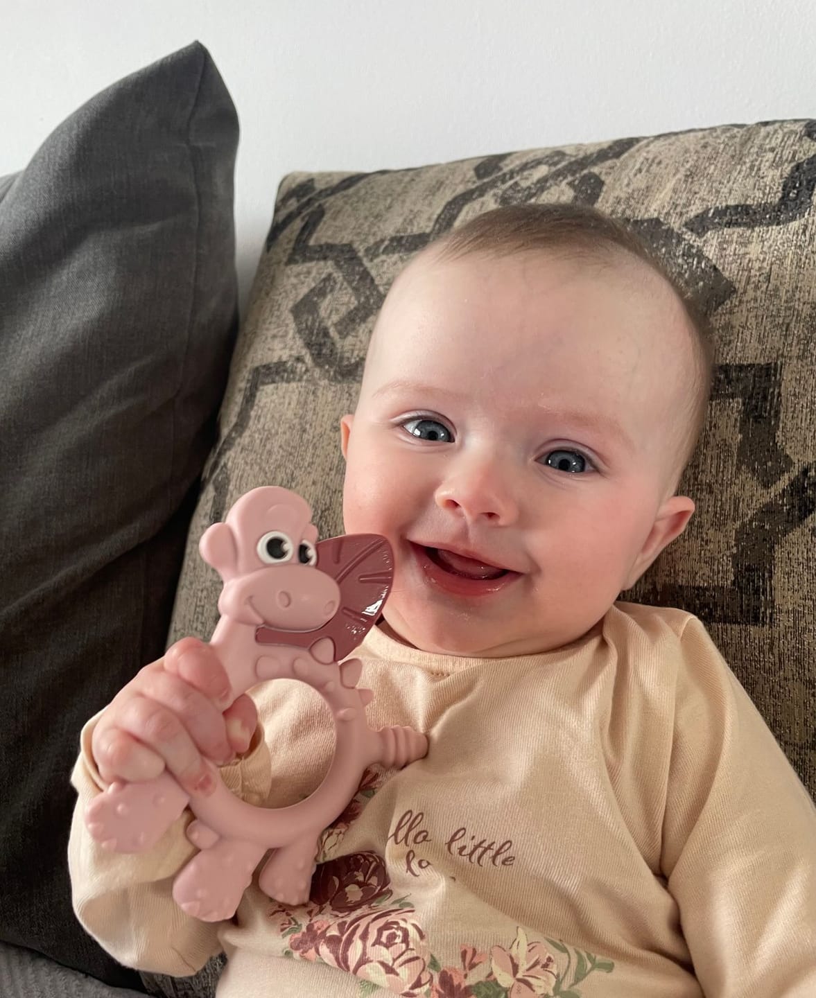 Customer photo review of Dotty the Dinosaur™: Teething Toy