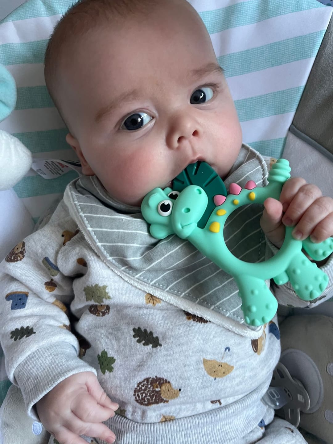 Customer photo review of Teething Toy: Dotty the Dinosaur™