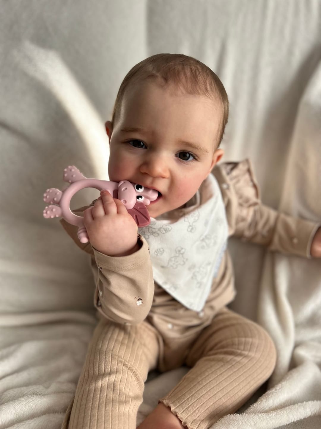 Customer photo review of Teething Toy: Dotty the Dinosaur™