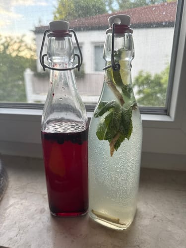 Customer photo review of BIO Wasserkefir-Kickstart: Potente Japankristalle (20g)