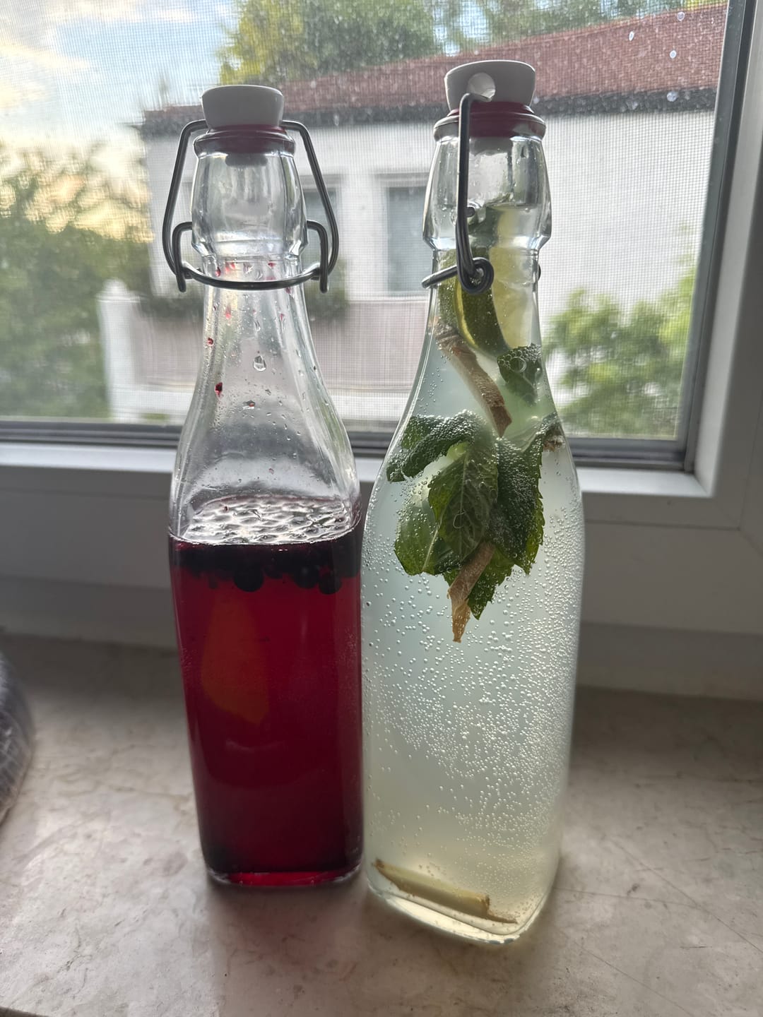 Customer photo review of BIO Wasserkefir-Kickstart: Potente Japankristalle (20g)