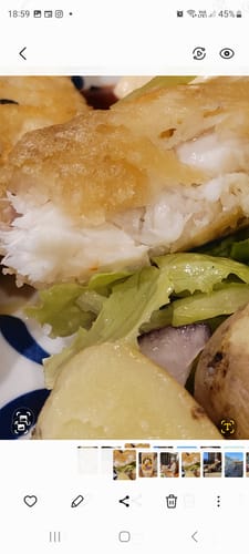 Customer photo review of 5KG Snapper Fillets (Skinned and Boned) Frozen