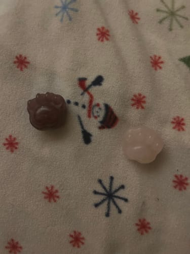 Alexandra B. review of Cat Claw image 1 out of 2