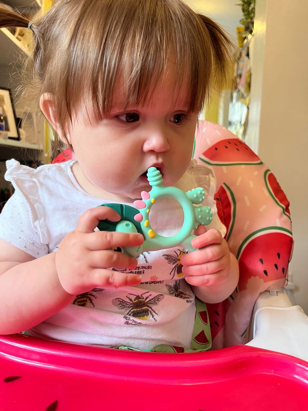 Customer photo review of Teething Toy: Dotty the Dinosaur™