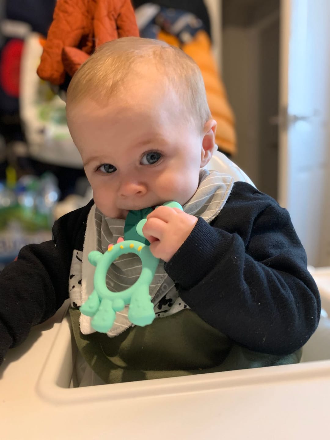 Customer photo review of Teething Toy: Dotty the Dinosaur™