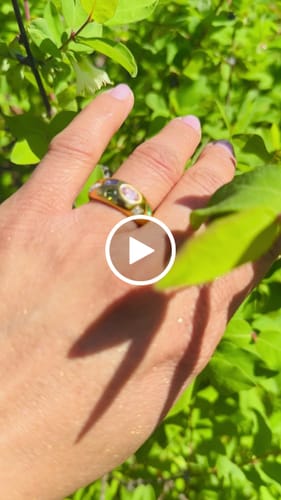 Customer video review of Seaside Sunset