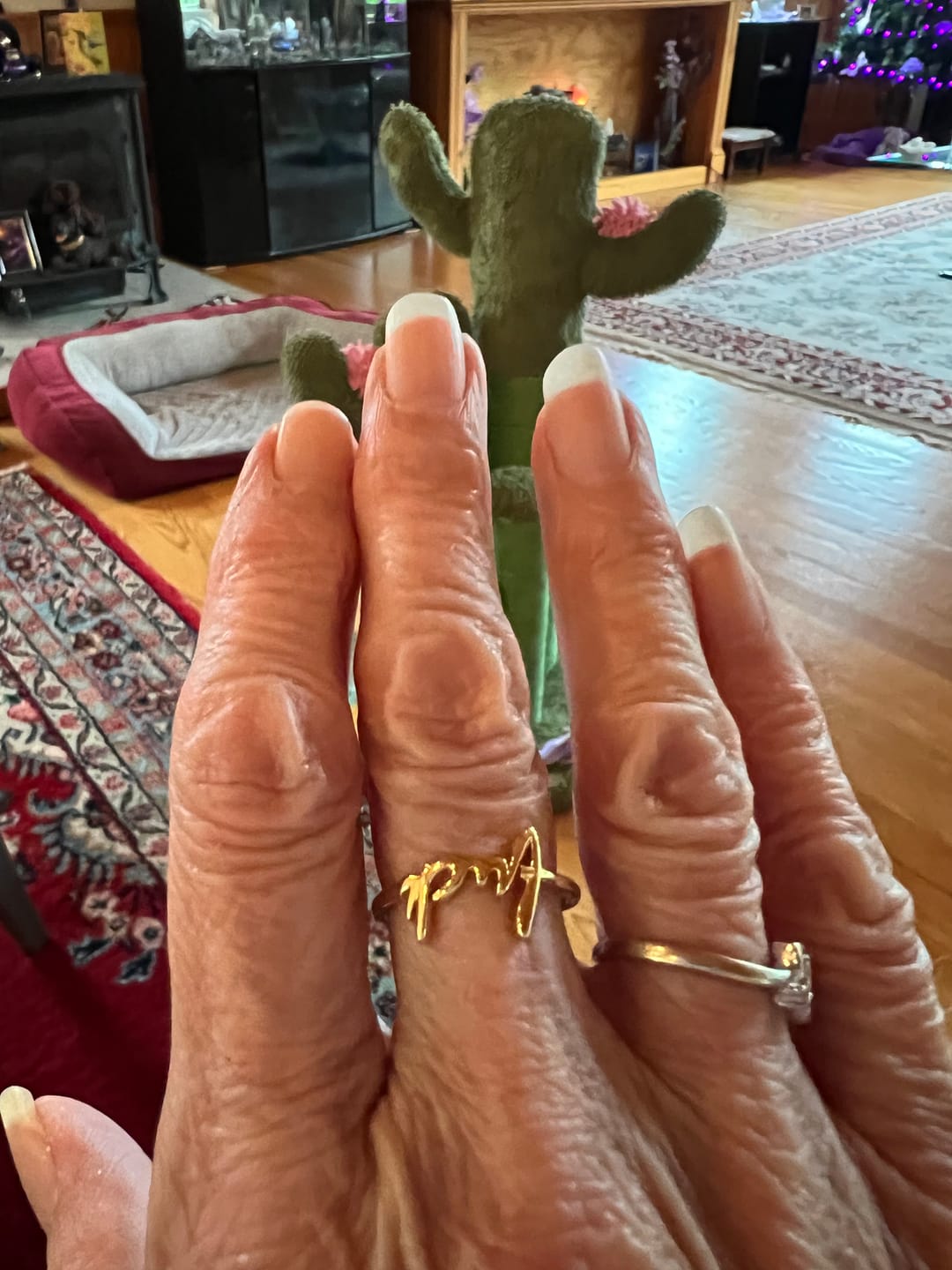 Customer photo review of Fancy Fuck Ring