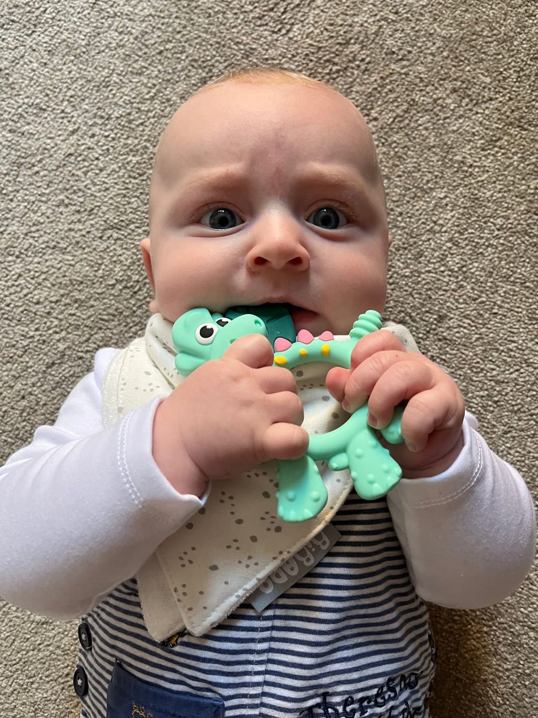 Customer photo review of Teething Toy: Dotty the Dinosaur™