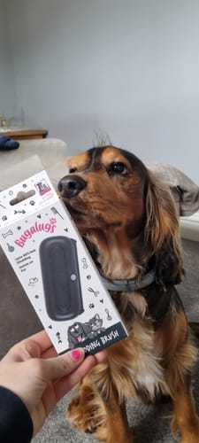 Customer photo review of Deshedding Brush (Black)