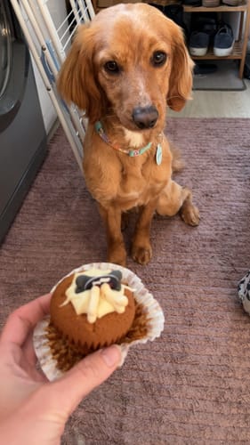 Customer photo review of ID Tag - Spongebob