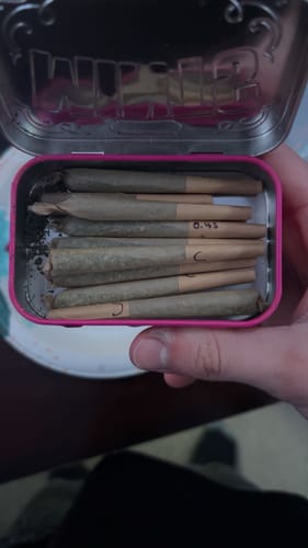 Customer photo review of THCa Greenhouse Smalls