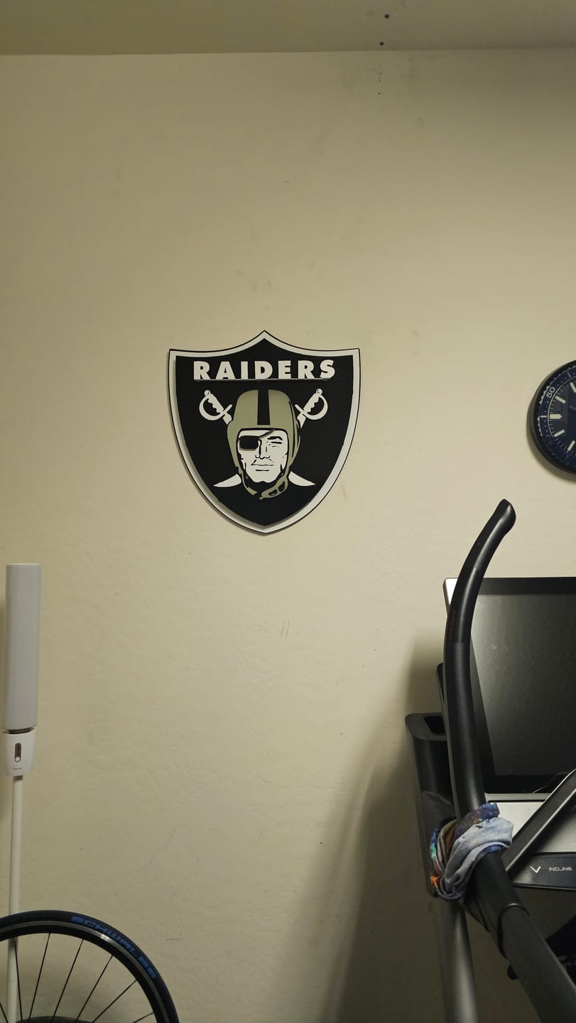 Customer photo review of Las Vegas Raiders Shield 3D Vintage Metal Wall Art
