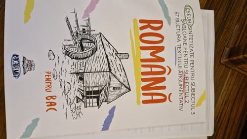 Recenzie cu fotografie de la un client despre Carte Română Bacalaureat Bacademia (temă și viziune, caracterizare, relație) - Ediția II
