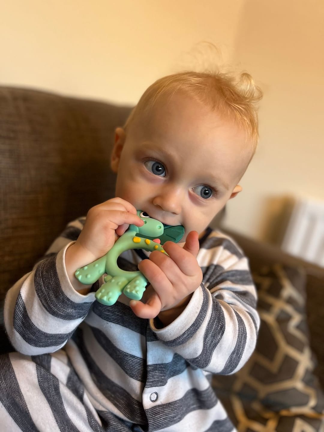 Customer photo review of Teething Toy: Dotty the Dinosaur™