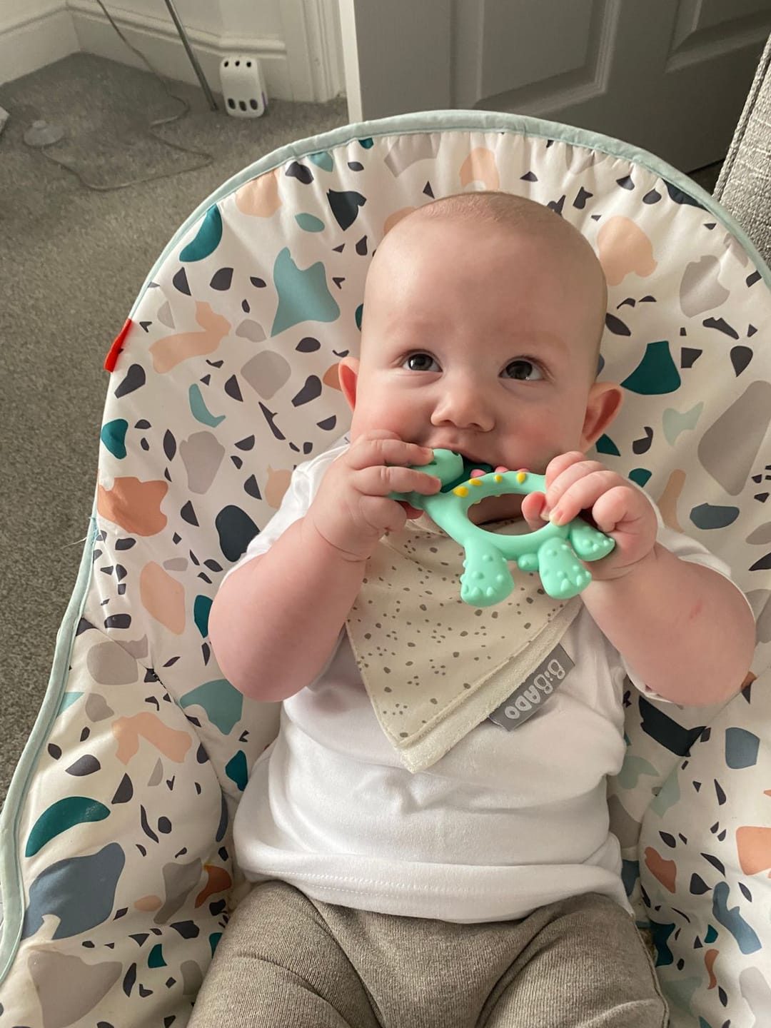 Customer photo review of Teething Toy: Dotty the Dinosaur™