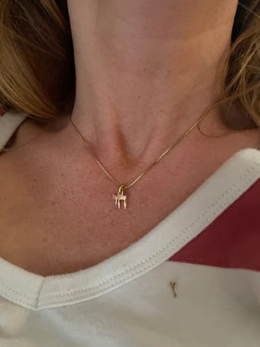 Customer photo review of Chai Necklace