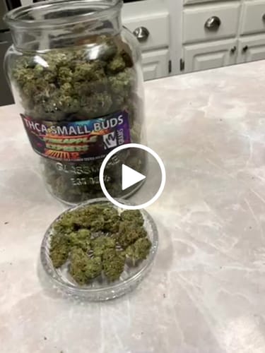 Customer video review of Pineapple Express THCA Flower