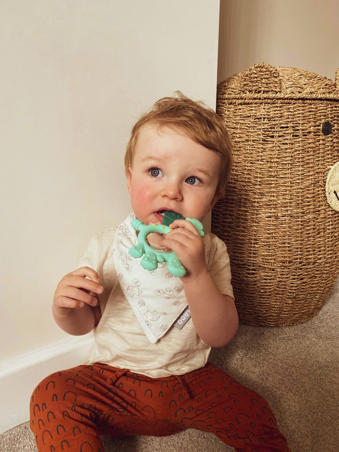 Customer photo review of Teething Toy: Dotty the Dinosaur™