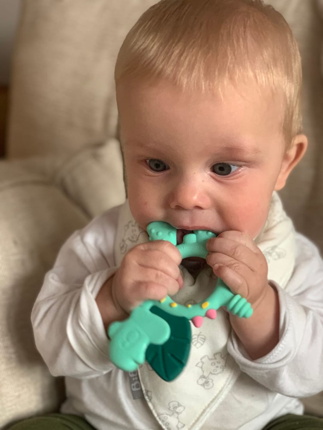 Customer photo review of Teething Toy: Dotty the Dinosaur™