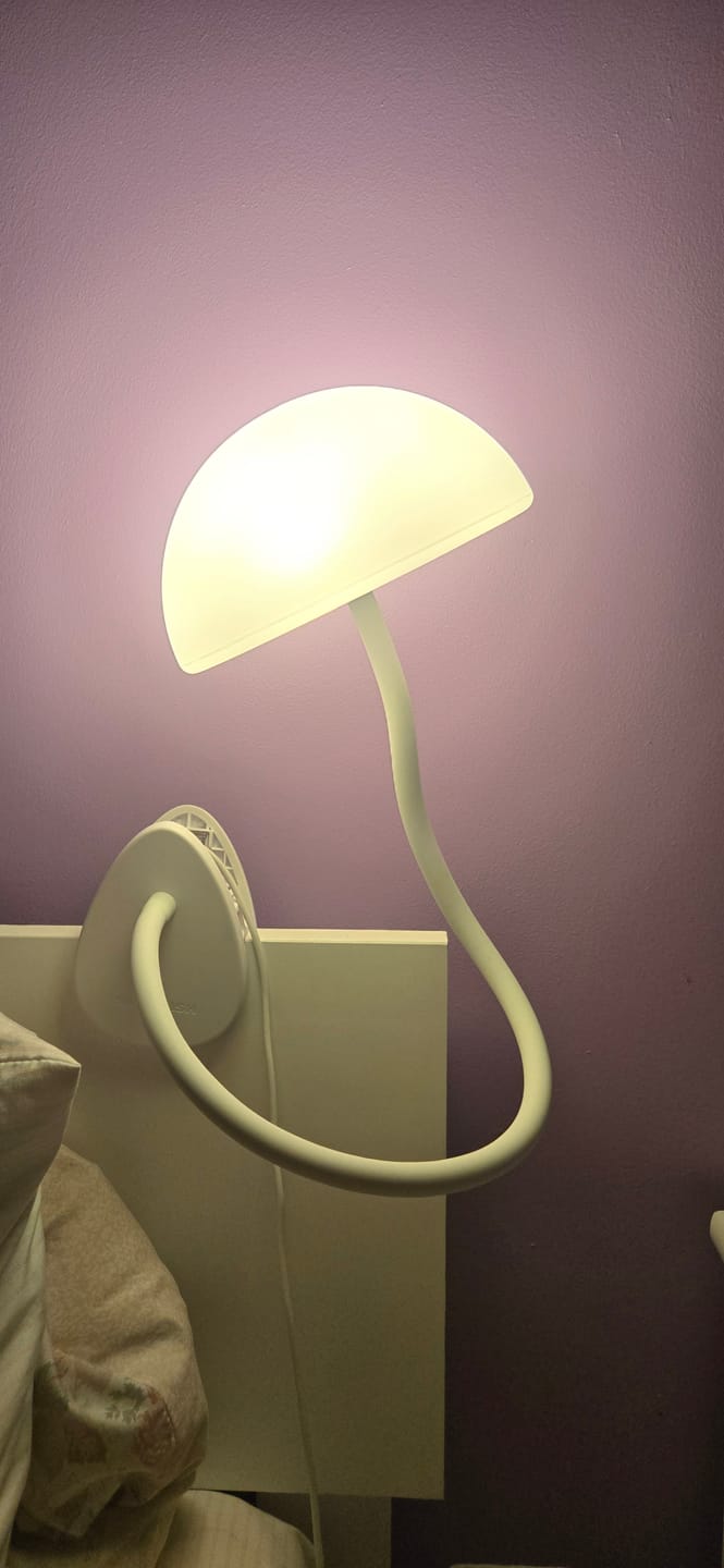Customer photo review of Shroommate - 3 in 1 Clip On Light and Bedside Table Lamp