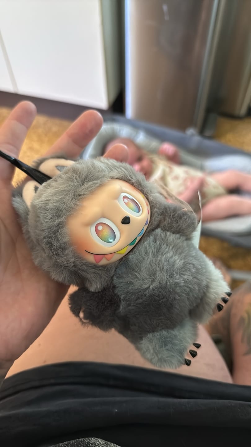Customer photo review of Pop Mart Labubu The Monsters Big into Energy Series Vinyl Plush Pendant Sealed Case (6 Blind Boxes)