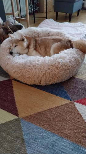 Customer photo review of CalmBed - Motverkar stress & hjälper mot ångest