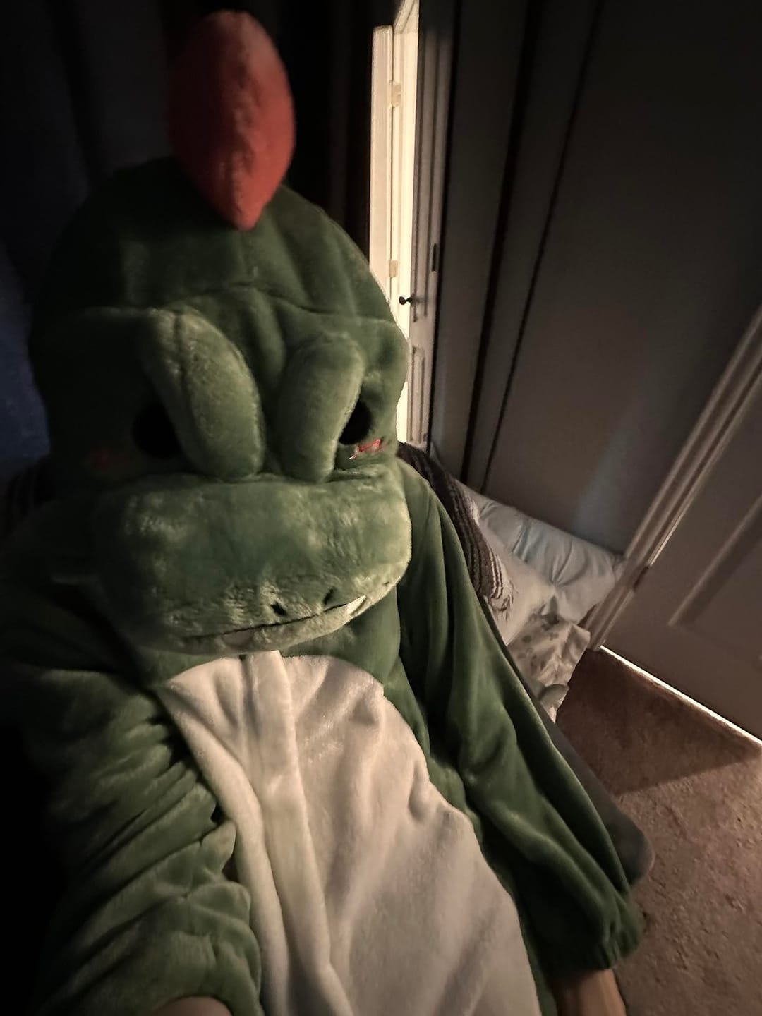 Customer photo review of OLAOLA Unisex Adult Plush Dinosaur Animals Onesie Pajamas Warm Home One-Piece Sleepwear