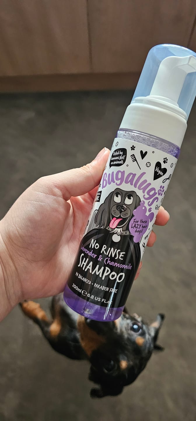 Customer photo review of No Rinse Lavender & Chamomile Dog Shampoo