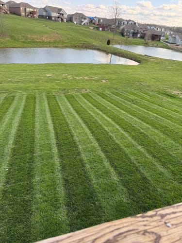 Customer photo review of GCI Turf Ca (Calcium) 1-0-1