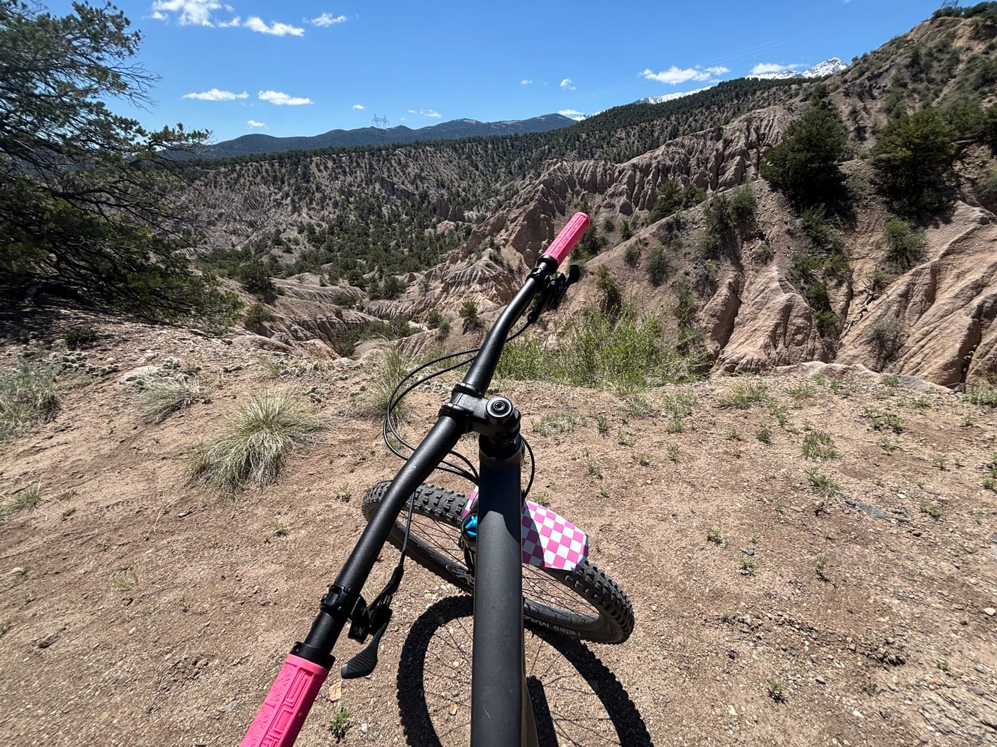 Customer photo review of Custom Fender