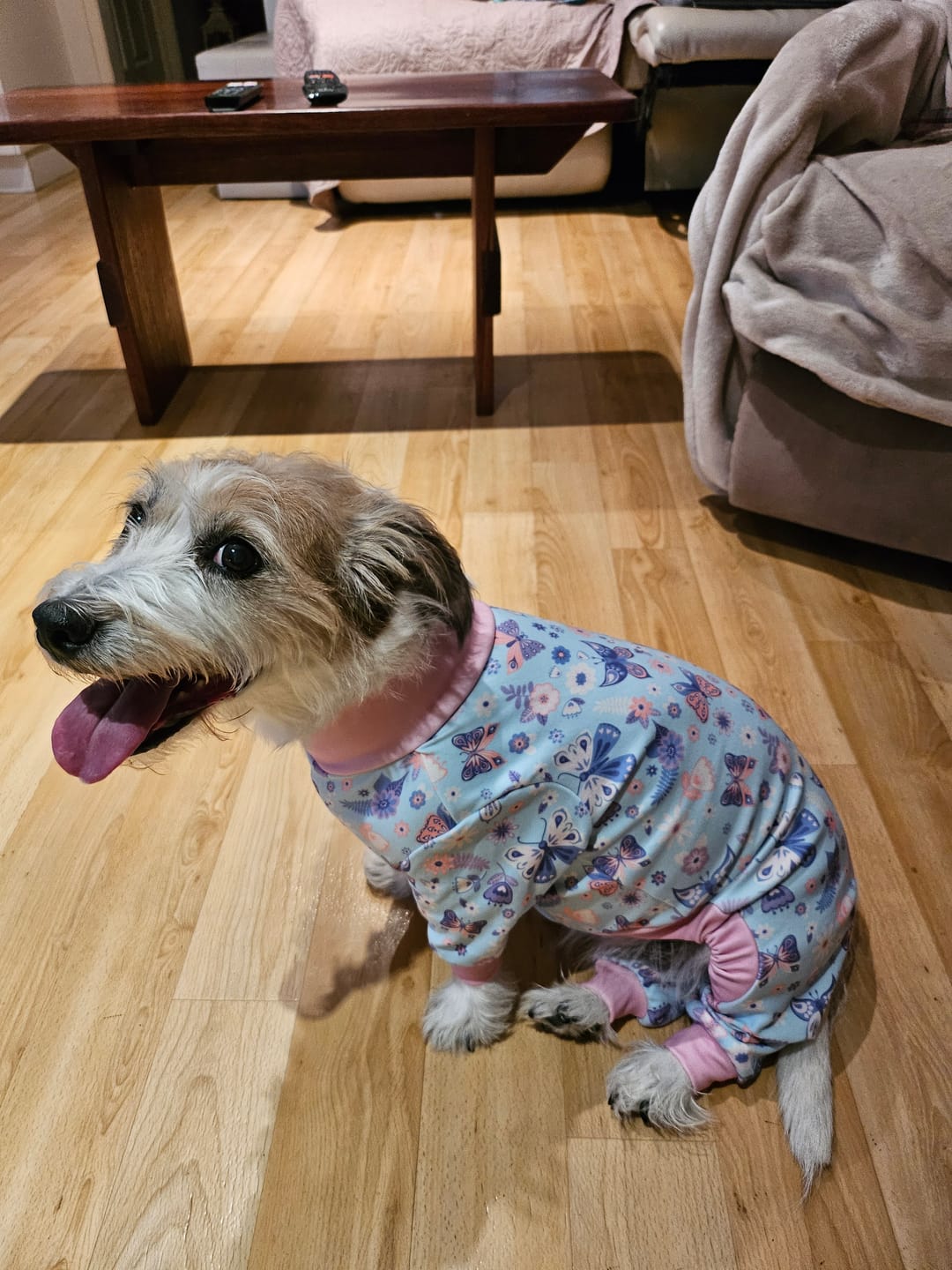 Customer photo review of Dog Pajama - Butterfly