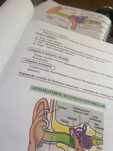 Recenzie cu fotografie de la un client despre Pachet Bacalaureat (Matematică + Anatomie clasele XI-XII) Bacademia