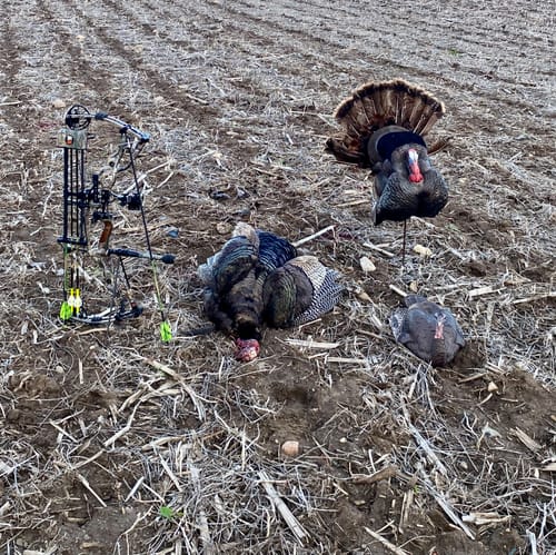 Customer photo review of Turkey Decapper System