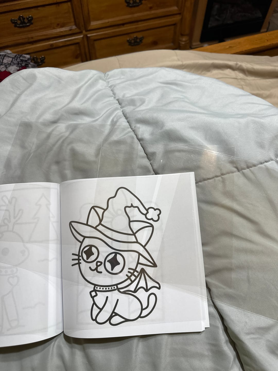 Customer photo review of Reusable Protective Sheet