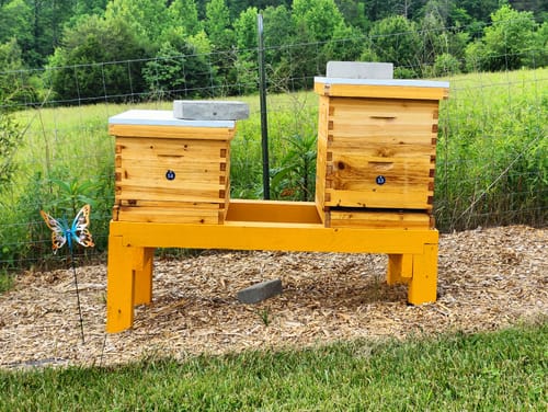 Customer photo review of BeeCastle Hives 10 Frame 2 Layer Screened Bottom Board Wax Coat Beehive Kit with 1 Deep Bee Box,1 Honey Super Bee Box, Wooden Frames and Beeswax-Plastic Foundation for Optimal Ventilation and Productive Beekeeping