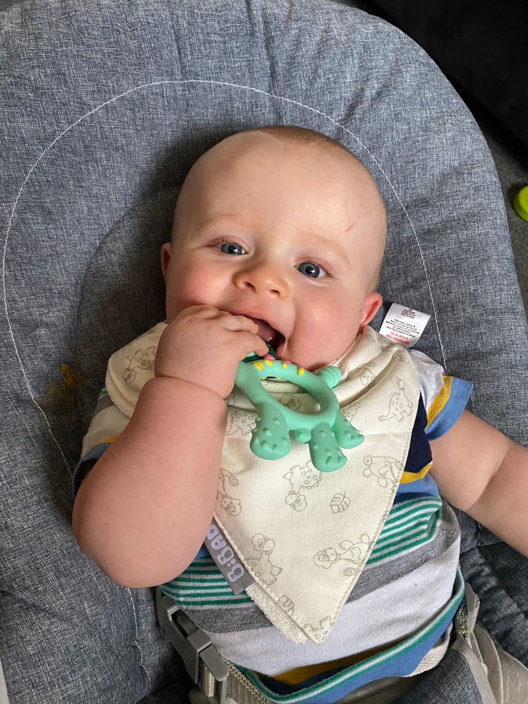 Customer photo review of Teething Toy: Dotty the Dinosaur™