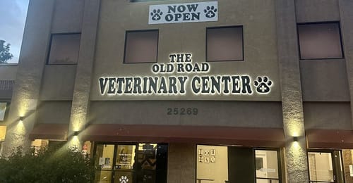 Noah B. Custom Backlit Sign
